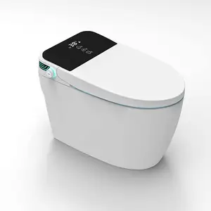 现代设计智能坐浴盆Wc智能智能坐便器