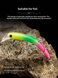 Nouvelle leurre artificielle rigide <span class=keywords><strong>en</strong></span> ABS imprimé, 10 couleurs, 65mm, 4g, type Minnow coulant arqué pour <span class=keywords><strong>la</strong></span> pêche <span class=keywords><strong>en</strong></span> rivière et <span class=keywords><strong>en</strong></span> lac - Product Image 6