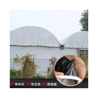 Serre avicole compacte et économique pour l'élevage de poulets avec film PE, isolation thermique, protection contre la pluie, montage facile
