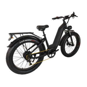 Vélo électrique urbain avec pneus larges de 26*4 pouces, écran de contrôle central intelligent, batterie au lithium dissimulée 48V10AH, corps en aluminium - Product Image 6