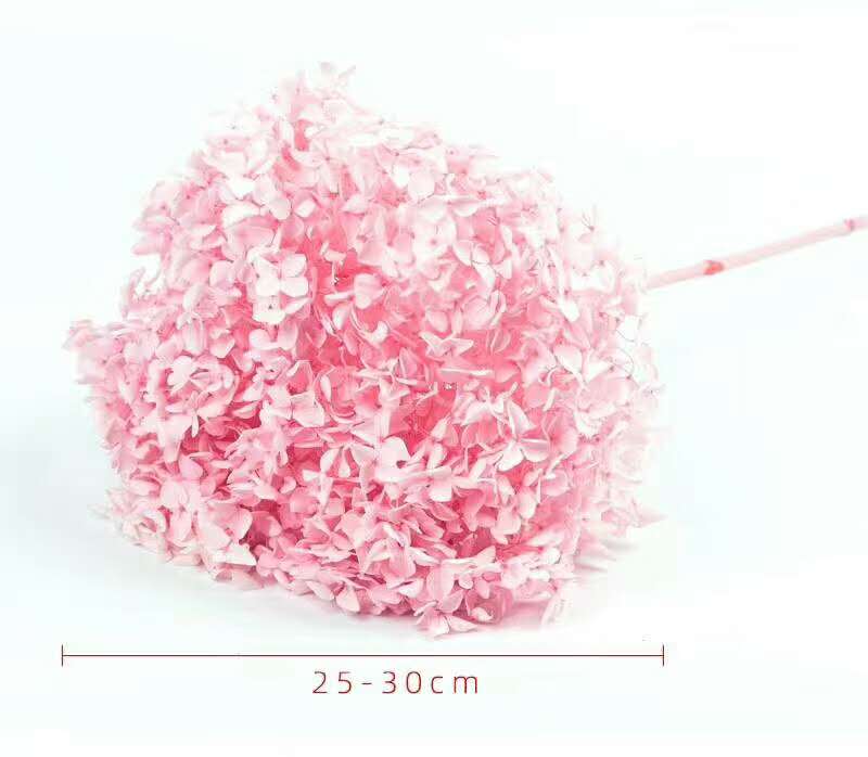 Лидер продаж Amazon, сушеный цветок Анны гортензии, вечный цветок, консервированный цветок