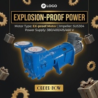 FORYOU 2BV6161 Moteur antidéflagrant en acier inoxydable Pompe à vide à anneau liquide haute pression 15kW 8HP Personnalisable OEM 400/380V