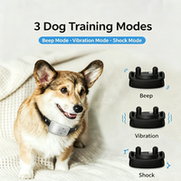 Collier anti-aboiement rechargeable pour chien, accessoire pour animaux de compagnie en nylon, fonction anti-aboiement