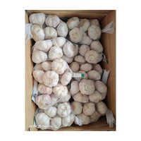 Ail frais de nouvelle récolte de haute qualité, prix abordable, ail blanc pur de Chine, ail blanc premium pour la vente en gros