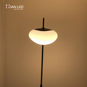 Modern Aluminum <strong>Optical</strong> Acrylic Adjustable Height Waterproof Floor Lamp for Living Room Reading High Brightness Dimmable - Product Image 5