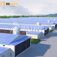 Vente Chaude : Bâtiments Préfabriqués pour Poules Pondeuses, Structure Acier, Cages Automatiques pour Équipement d'Élevage Avicole