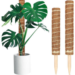 Poste de musgo de 48 pulgadas a granel desde el almacén de EE. UU.-Soportes de fibra de coco, entrega nacional de 3 días Envío gratis - Product Image 2