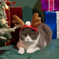 Manteau amusant pour chaton et chat, tenue de Noël avec écharpe et cape pour chien du Nouvel An, chapeau et écharpe d'hiver en polyester, vente en gros