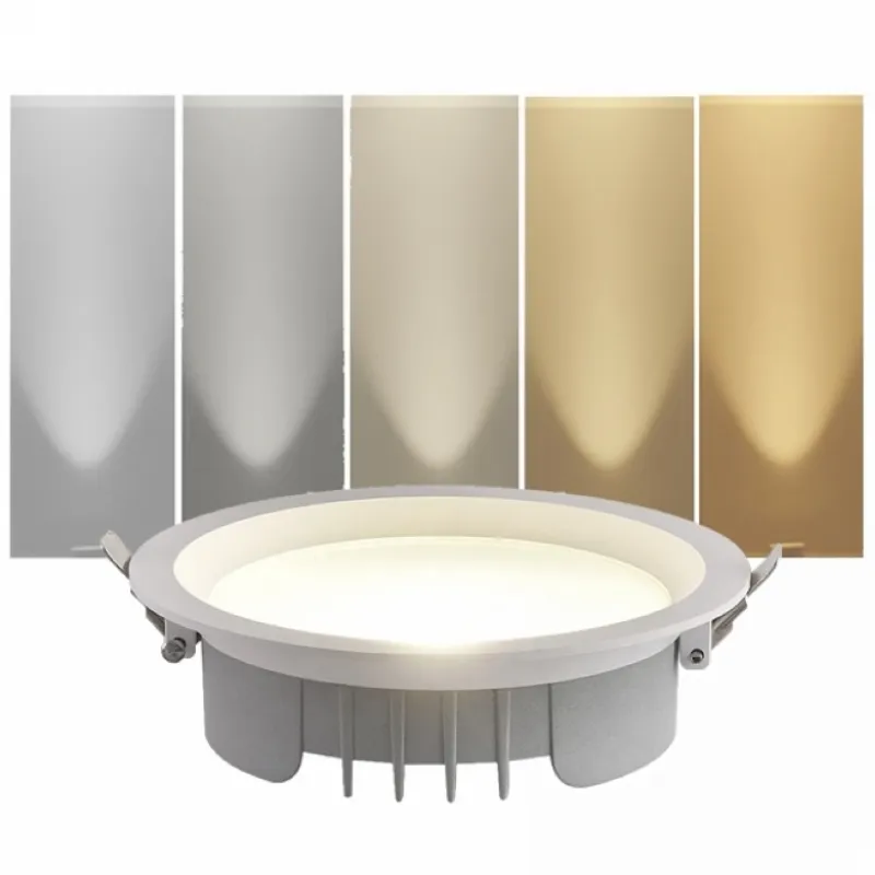 Kosteneinsparung runder guter Preis schlankes eingebettetes LED-Panel Topflampen 2,5 3 3,5 4 5 6 Zoll modernes Hotel-Anti-Blend-Downlight