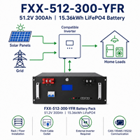 Batería de Almacenamiento de Energía LiFePO4 Escalable para Montaje en Rack, 51.2V 300Ah 15.36kWh, Alto Rendimiento Pico, BMS Inteligente, Larga Vida Útil