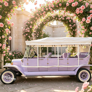 Carro de Turismo Duradero de Estilo Antiguo para Exportación, Modificado para Turismo Cultural y Apoyo a la Construcción en Parques - Product Image 1