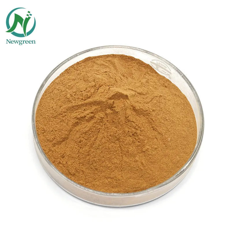 High Quality Chinese Traditional Herb 10:1 Isatis Root Extract