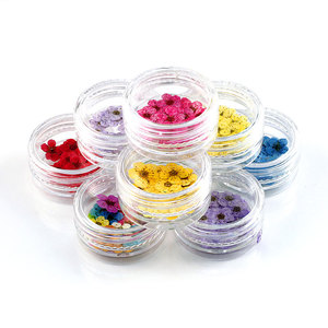 20pcs Natural <b>Dried</b> Flower Nail Stickers 17 Colors Japanese Style 3D Real <b>Petal</b> Decals for DIY Nail Decoration - Product Image 5