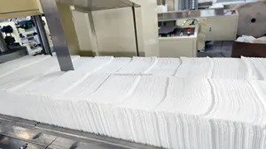 Factory Direct Price Tissue Napkin Paper Making Machine Napkin Printing Machine