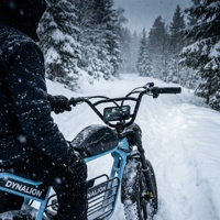 Vélo électrique tout-terrain résistant aux crevaisons avec batterie au lithium 16Ah, vélo électrique robuste pour l'exploration hivernale sur la neige