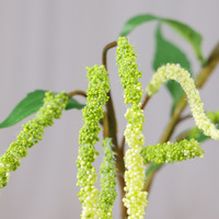 Guirlande artificielle en soie Amarante, verdure tombante, plumes tombantes pour décoration florale de plafond de mariage, fête, maison, intérieur/extérieur