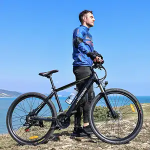 Sepeda Listrik Murah Desain Terbaik untuk Sepeda Gunung Suspensi Penuh 36V 48V 250W 350W 500W 750W Sepeda Elektro