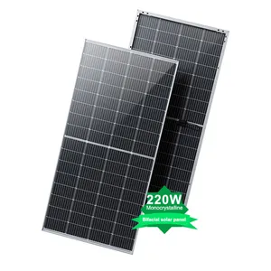 Uso domestico personalizzato pannello solare doppio lato 150W 220W panneaux solaires 12V transparente pannelli solari monocristallino silicio 200W