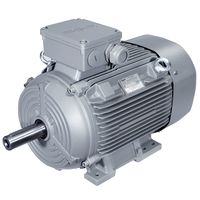 SIEMENS Innomotics IE4 1le8004 Moteurs asynchrones triphasés à basse tension AC avec classe de puissance accrue de protection IP55