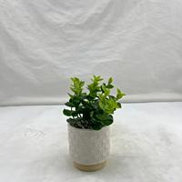 Plantes vertes artificielles en PE en pot, écologiques, résistantes aux UV, persistantes, pour la décoration de mariages, fêtes, bureaux, maisons, et de bureaux à domicile, lot de plusieurs pièces