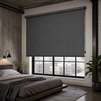 Stores enrouleurs sur mesure en tissu personnalisable avec chaîne à billes manuelle pour la réduction de la lumière dans les chambres d'hôtel