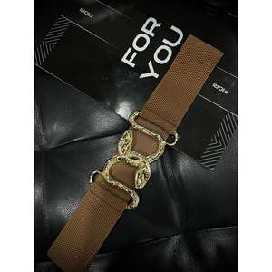 Cinturón Elástico con Hebilla de Serpiente Dorada para Mujer, Estilo Y2K, Cinturón Metálico con Herrajes de Aleación, Accesorio de Moda - Product Image 4