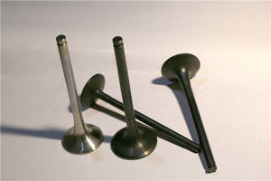 Hoge kwaliteit N12 N14 N16 N20 N46 N52 N55 N54 N62 N63 M54 B38 B48 B58 N47 N57 motor inlaatklep uitlaatklep fabriek - Product Image 5