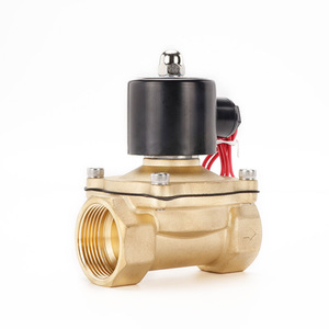 All-Copper 2W Normally Closed Solenoid <b>Valve</b> Water Gas <b>Valve</b> with AC220V Drain/Inlet <b>Control</b> DC24V Power 4/5/6/1 Inch Size - Product Image 1