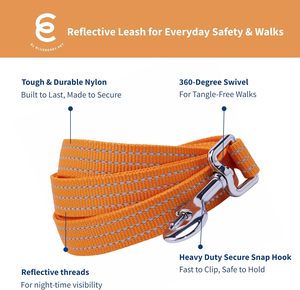 บลูเบอร์รี่สัตว์เลี้ยงจำเป็นสะท้อนแสงดีกว่าสายจูงสุนัข, แอปริคอท, 5ฟุต x 3/4 ", ขนาดกลาง, สายจูงสำหรับสุนัข - Product Image 2