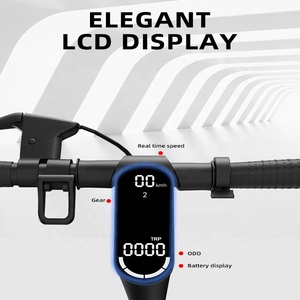 <span class=keywords><strong>Freego</strong></span> 2023 New E10 Pro 350W 500W Động Cơ 10 Inch E Scooter IP54 Không Thấm Nước Gấp Xe Tay Ga Điện Cho Người Lớn - Product Image 6