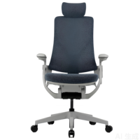 Chaise de bureau ergonomique à dossier haut, chaise de bureau à domicile avec appui-tête, coussin large, chaises en maille grandes et hautes LKC-304