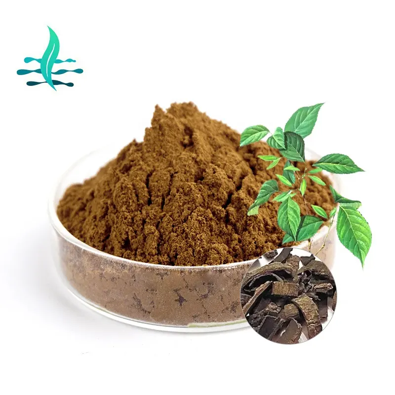 High Quality Natural Eucommia Ulmoides Extract 98% Chlorogenic Acid