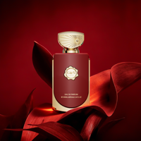 Flacon de parfum en verre G&S Luxury Fine Mist 100ml avec base unique, parfum pour homme et femme, boîte cadeau élégante, forme irrégulière
