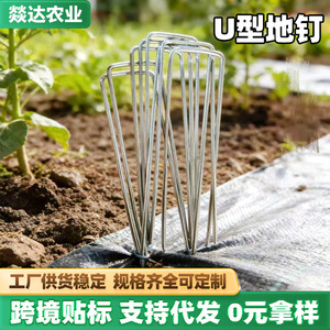 Galvanized U-shaped <b>ground</b> <b>stakes</b>, garden <b>ground</b> cover <b>stakes</b>, mulch <b>stakes</b>, weed control <b>ground</b> <b>stakes</b>, awning tents, - Product Image 5