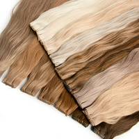 Extensions de Cheveux Genius Weft Qualité Salon Double Drawn Invisible Bead Weft Cheveux Vierges Russes Genius Weft