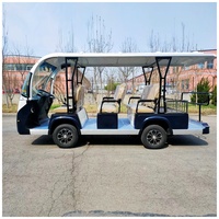 Navette touristique électrique de luxe 6 places avec porte-bagages pour les visites guidées en voiture et en bus