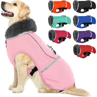 Nouvelle veste d'hiver pour chiens de style britannique, réfléchissante, imperméable, à col montant, rembourrée en coton