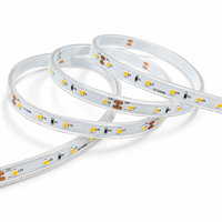 Éclairage commercial SMD2835 10MM 60LEDs/M DC 24V Tension sécurisée Double couche de cuivre IP65 Bande LED pour hôtel/magasin/club