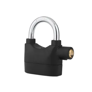 Factory Direct Supply Zwart Geschilderd Atom Sleutel Hoge Anti-Diefstal Koperen Cilinder Alarm Lock