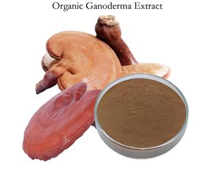 ผงสกัดเห็ดหลินจือออร์แกนิกบริสุทธิ์100% วัตถุเจือปนอาหาร - Product Image 3