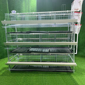 Jaula de alimentación de diseño de granja avícola tipo H, jaula de limpieza de estiércol con manivela manual para granja avícola de puesta de <span class=keywords><strong>huevos</strong></span> en <span class=keywords><strong>Guinea</strong></span> - Product Image 2