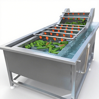 Lavadora de verduras automática multiusos para zanahorias, patatas, manzanas envasadas, producción eficiente, Eliminación de Pesticidas de barro de bajo ruido