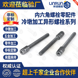 Mecanizado personalizado de tornillos no estándar Linrun a partir de dibujos o muestras para electrónica 3C - Product Image 5