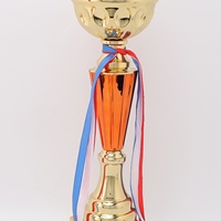 Trophée Personnalisé pour Employé Exceptionnel – Modèle Enfant – Jeu de Football et de Basketball – Cadeau Créatif de Récompense