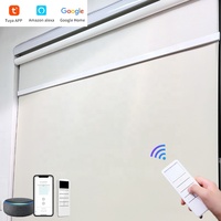 Stores enrouleurs électriques intelligents jour et nuit lève-vitre motorisés par application Wifi stores automatiques à double enrouleur