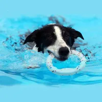Jouet pour chien, balle ETPU super résistante aux morsures, légère, à haute élasticité, interactive, pour lancer et faire voler, accessoires