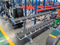 Équipement de fitness d'intérieur Source Factory Rosen : Rangement d'haltères à deux niveaux sans entretien pour clubs (OEM)