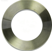Joint denté en acier inoxydable 304/316 TDSANYSEAL, haute température, haute pression, pour raccord à bride, conforme ASME B16.20, 42 MPa