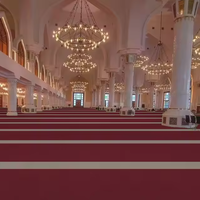 Tapis de prière de mosquée tressé, lavable, mur à mur, en pure laine neuve, antidérapant, taille personnalisable, doux et confortable pour usage domestique et commercial