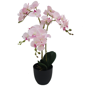 Chất lượng cao Thiết kế thời trang Hot Bán trong nhà văn phòng nhà Bonsai nhân tạo phong lan hoa - Product Image 2